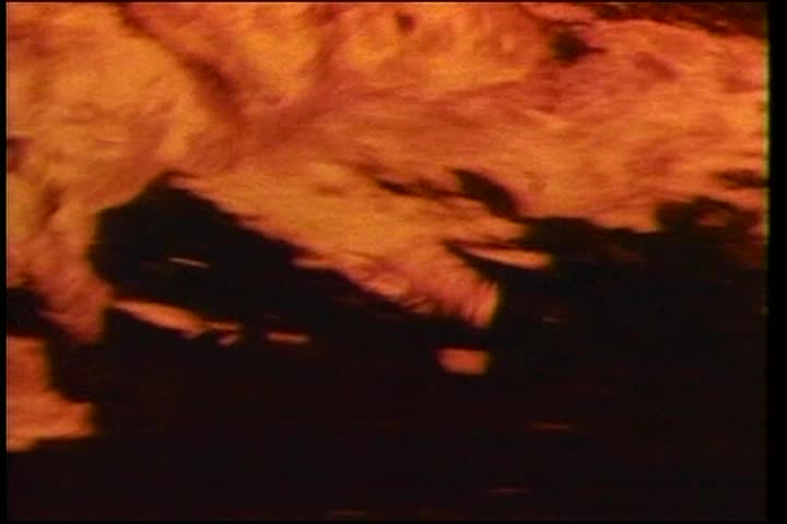 Thumbnail image for NGOTA: Art of Indonesia