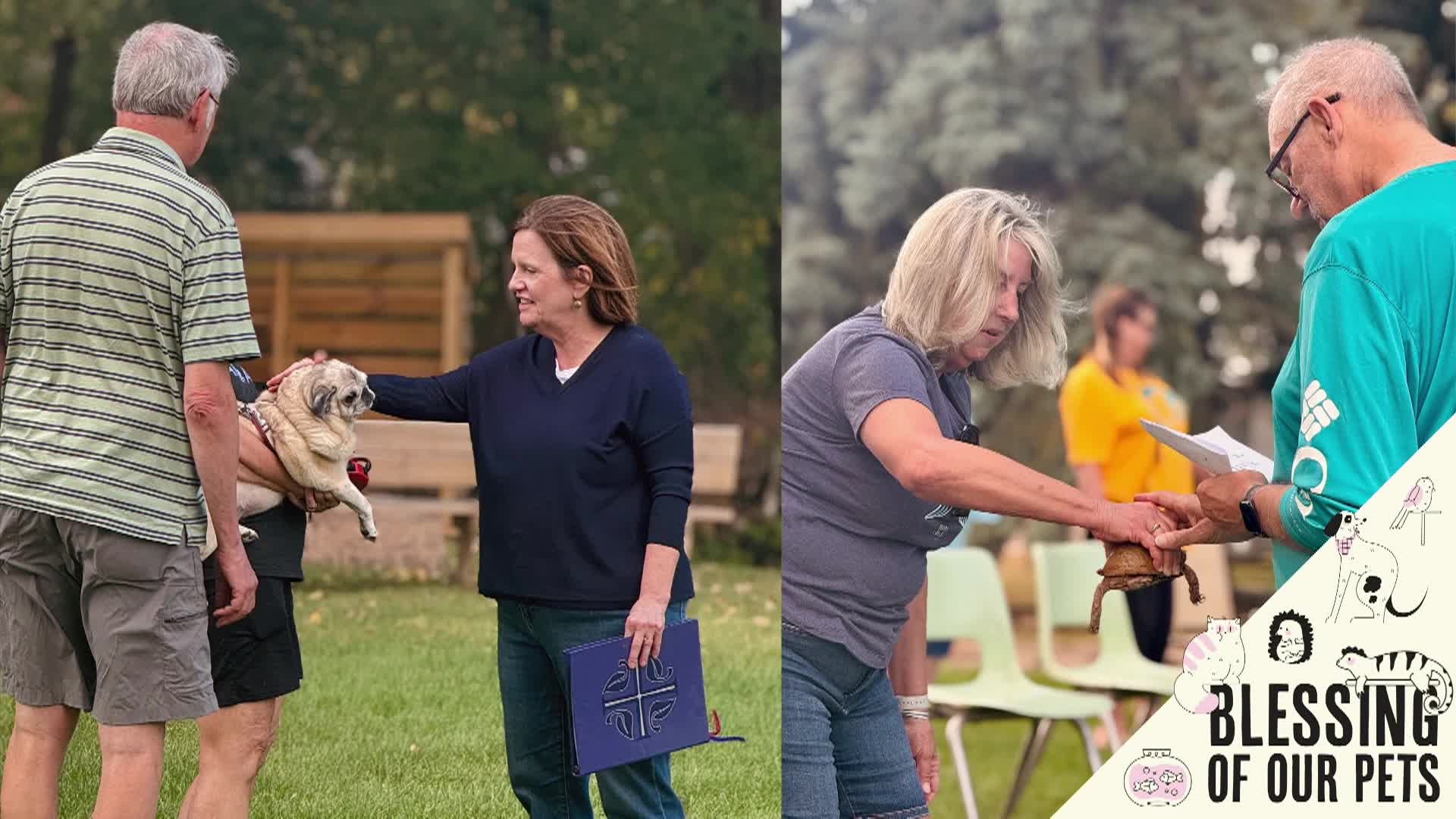 Thumbnail image for St. Stephen's Lutheran Church