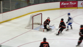 puck going into net past the goalie