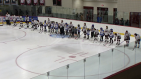 hockey players lined up on the ice before the game