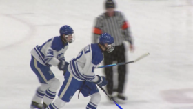 2 hockey players skating in front of a referee