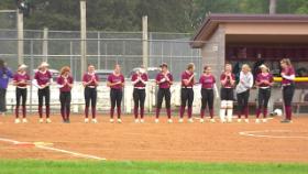 softball players lined up before the game starts